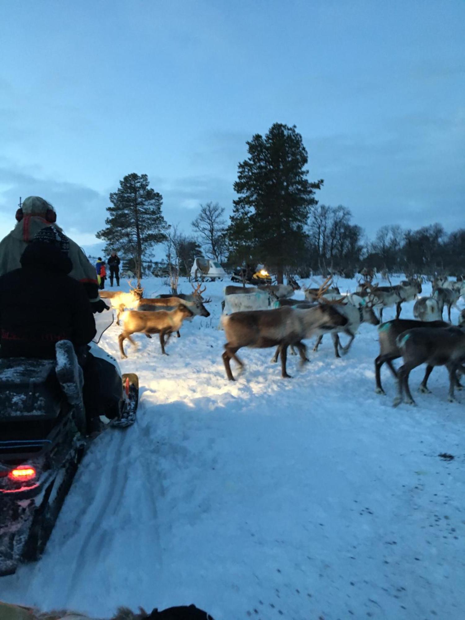 Bardufoss Hotell Exteriér fotografie